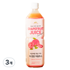 네이쳐브릿지 지중해풍 햇살 가득 자몽주스, 3개, 1L