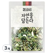 조은약초 신선초, 300g, 3개