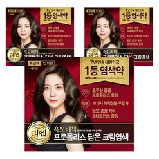 리엔 흑모비책 프로폴리스 담은 크림 염색제 새치용 12회분, 흑갈색, 3개