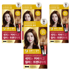엘라스틴 살롱 드 컬러 앤 새치 염색 크림, 밝은갈색, 4개