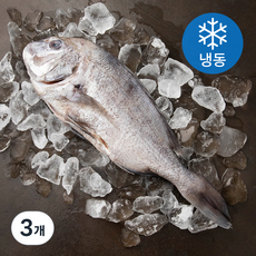 아라보감 맛 좋기로 소문난 남해 미조 손질 참돔 탕용 / 구이용 (냉동), 600~800g, 3개