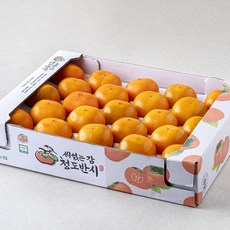 황소고을 청도 반시, 2.5kg(25내), 1박스