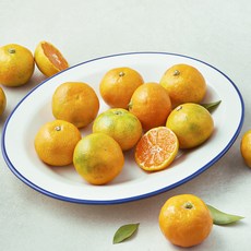 곰곰 당도선별 11brix 한입 감귤, 500g, 1개