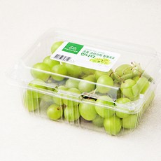 만나다 미국산 오톰 크리스피 청포도, 1개, 450g