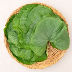 국내산 곰취나물, 1개, 80g