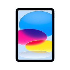 Apple 정품 2022 아이패드 10세대, 블루, 256GB, Wi-Fi