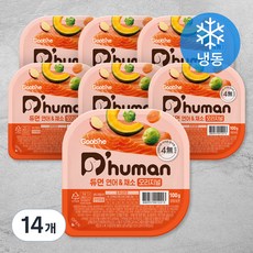 듀먼 생후 3개월 이후 전연령용 오리지널 냉동 화식사료, 연어+채소, 100g, 14개
