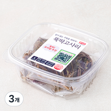 나무새 뚝딱 고사리, 400g, 3개