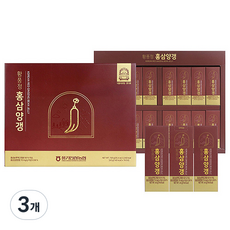 풍기인삼농협 황풍정 홍삼양갱 16p, 3개, 720g