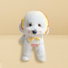 Grooming Dog 小狗 dankini 泳裝, 紅色的