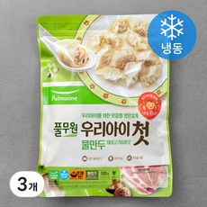 풀무원 우리아이첫물만두 돼지고기 & 버섯 (냉동), 500g, 3개