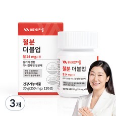 비타민마을 철분 더블업 미니 정제형 철분제, 120정, 3개