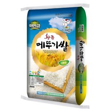 억만금 황금 메뚜기쌀 백미, 상등급, 10kg, 1개