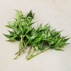 친환경 당귀잎, 70g, 1개