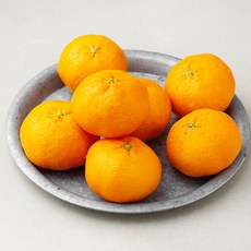 곰곰 친환경 제주 레드향, 1.2kg, 1봉