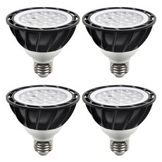 DAYSTAR HOUSE LED PAR30燈泡 15W E26 集中型, 晝光色, 4個