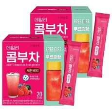 다농원 데일리 콤부차 세븐베리, 5g, 20개입, 2개