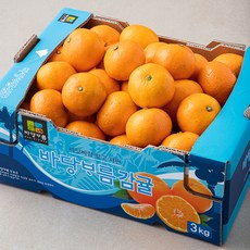 바당보름 Ai선별 당도선별 10brix 감귤 로열과, 3kg, 1박스