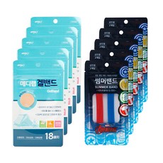 성인썸머밴드