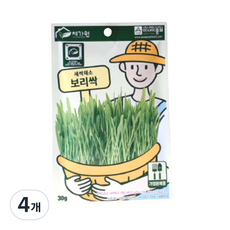 채가원 보리싹 캣그라스, 보리, 30g, 4개