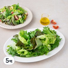 유러피안 소프트 샐러드, 300g, 5팩