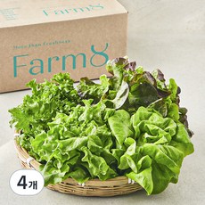 팜에이트 무농약 인증 유러피안 샐러드 꾸러미, 450g, 1개입, 4개