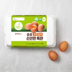 곰곰 무항생제 신선한 특란