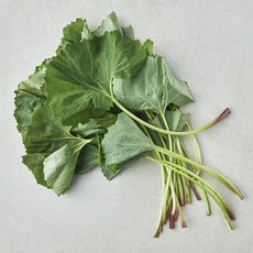 남해 머위나물, 80g, 1개