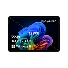 마이크로소프트 2025 서피스 프로 스냅드래곤, 256GB, 16GB, WIN11 Home, EP2-27655
