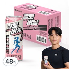 맥널티 칼로버닝 프로틴 스파클링 복숭아, 250ml, 48개