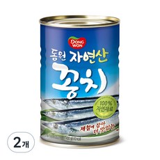 동원 자연산 꽁치, 400g, 2개