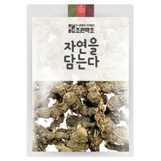 성과창출능력