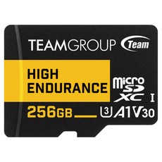 TEAMGROUP 十銓 256GB 監控記憶卡, 讀寫速度100/50MB/s, 穩定耐久, 1個