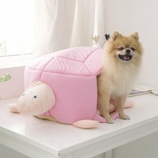 거북이캐릭터