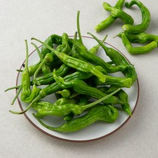 친환경 인증 국내산 꽈리고추, 1봉