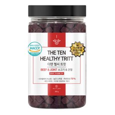 더텐 강아지 헬씨트릿, 소고기, 300g, 1개