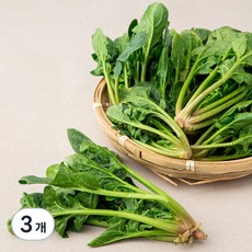 국내산 시금치, 500g, 3개