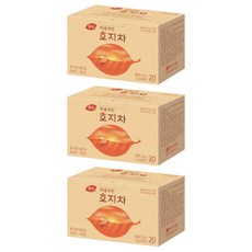 동서 마음우린 호지차, 1g, 3개, 20개입