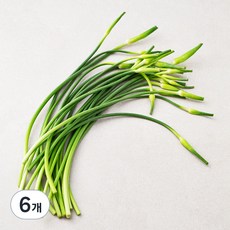 남해 마늘종, 200g, 6개 200g, 6봉