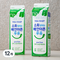 남양유업 맛있는우유GT 소화가 잘되는 고소한 락토프리, 900ml, 12개