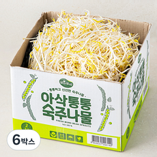 맑은물에 아삭통통 숙주나물, 6박스, 2kg