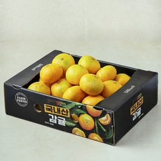 곰곰 국내산 감귤, 1개, 3kg(대과)