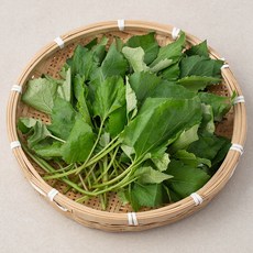 국내산 참취나물, 200g, 1봉