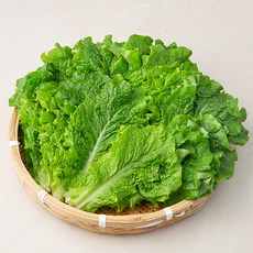 국내산 친환경 청상추, 400g, 1개