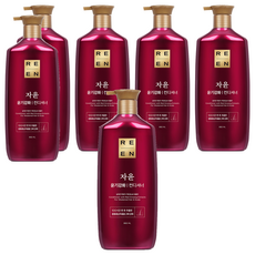 ReEn 琍艷 Jayun亮澤護髮素, 950ml, 6瓶