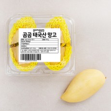 곰곰 태국산 망고, 700g, 1개