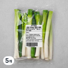 국내산 절단대파, 1kg, 5개