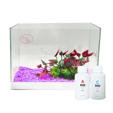 로라펫 자연 가습기 어항 + 인조수초 + 컬러스톤 + 박테리아 + 물갈이제, 라일락 바이올렛(컬러스톤), 랜덤발송(인조수초), 1개
