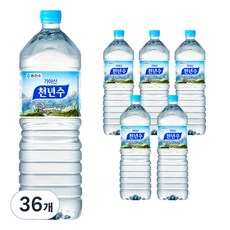 천년수 생수, 2L, 36개