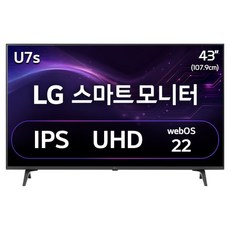 LG전자 4K UHD 스마트 모니터 방문설치, 107.9cm, 43SQ720SW